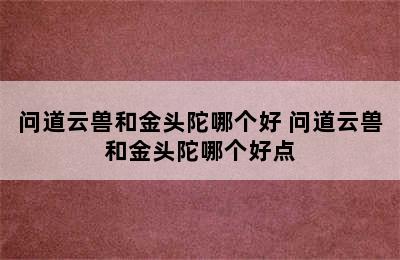 问道云兽和金头陀哪个好 问道云兽和金头陀哪个好点